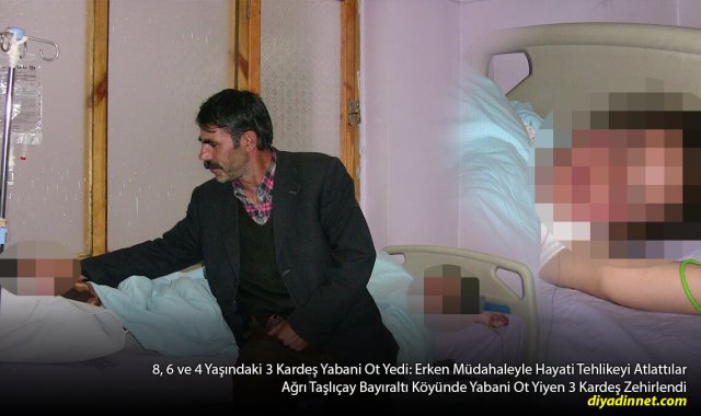 Ağrı'da Yabani Ot Yiyen 3 Kardeş Zehirlendi: Erken Müdahale Hayatlarını Kurtardı