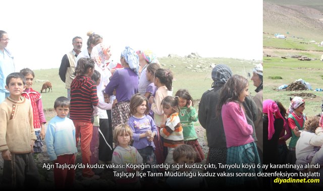 2 Çocuk Isırıldı, 1 Sığır Kuduz Çıktı: Taşlıçay'da 6 Aylık Karantina Başladı