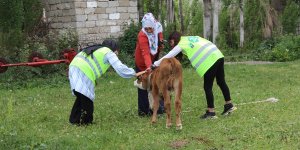 Ağrı'da gönüllüler bayramlaşma kültürünü yaşatmak için köyleri ziyaret etti