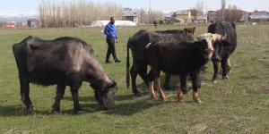 Merada sınava, salonda şampiyonaya hazırlanıyor
