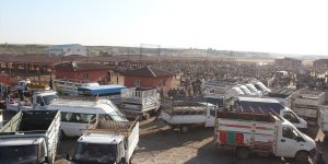 Pazarın gözdesi 1,5 tonluk 'Bozo'