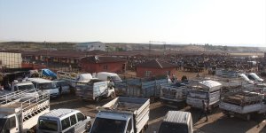 Ağrı'dan yurdun batısına 133 bin kurbanlık sevk edildi