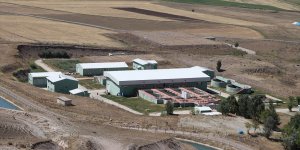 Ağrı'da içme suyu sağlık kriterlerine uygun