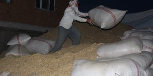Gece gündüz demeden tarlada çalışarak kışa hazırlanıyorlar