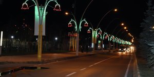 Lale figürlü aydınlatma Ağrı'ya renk kattı