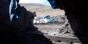 Elektrik akımına kapılan 24 büyükbaş hayvan telef oldu