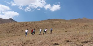 Sevdiklerinden haber almak için tepelere çıkıyorlar