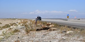 Hafif ticari aracın çarptığı sürüdeki 40 küçükbaş hayvan telef oldu