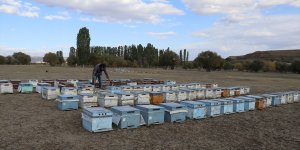 Mezun olmadan harçlıklarıyla kendi işini kurdu