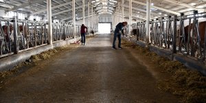 Alman gezginlerin Ağrı'ya uzanan serüveni