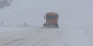 Ağrı-Van kara yoluna düşen çığ temizlendi