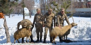 Muş'ta Merkez İlçe Jandarma Komutanlığı hizmet binası açıldı