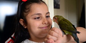 Van ve Bitlis'te çocuklar evlerini süsleyerek 23 Nisan'ı kutluyor