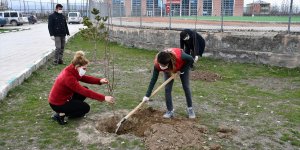 Doğubayazıtlı gençler sosyal teması azaltmak için "Evde Kal Bir Hayatta Sen Ver" projesi başlattı