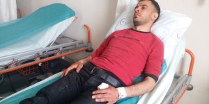 Kars'ta ayının saldırısına uğrayan genç yaralandı