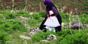 Dağlardan gelen lezzetler iftar ve sahur sofralarını süslüyor