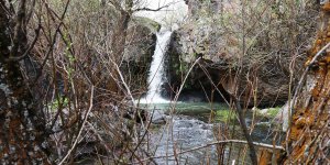Ağrı'daki Bekiran Şelalesi'nde ilkbahar güzelliği