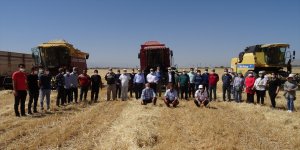 Sultansuyu Tarım İşletmesi'nde arpa ve yulaf hasadı başladı
