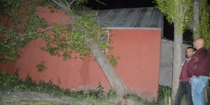 Ağrı'da bir evin üzerine devrilen ağaç hasara yol açtı