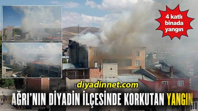 Ağrı'nın Diyadin İlçesinde Korkutan Çatı Yangını