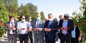 Muş'ta "Pancar Alım Kampanya"sı başladı