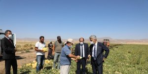 Erzincan Valisi Makas, Tercan ve Çayırlı ilçesindeki yatırımları denetledi