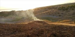 Baskil'de ceviz ekili alan yandı