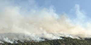 Elazığ'da çıkan orman yangınına müdahale ediliyor