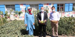 Ağrı Valisi, dağ köyünde okulun ihtiyaçları için sebze üreten öğretmen çiftle hasat yaptı
