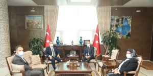 RTÜK Başkanı Şahin Bitlis Valisi Oktay Çağatay'ı ziyaret etti
