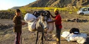 "Türkiye'nin Çatısı"na tırmanan dağcıların yükünü katırlar sırtlıyor
