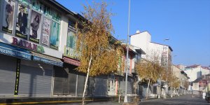 Ağrı'da sokağa çıkma kısıtlamasına uyuluyor