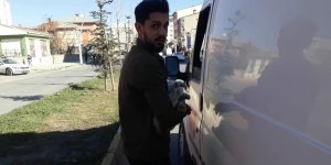 Ağrı'da Yaraladığı Kediyi Veterinere Yetiştirmek İçin Seferber Oldu