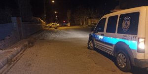 Kars'ta bahçe duvarına çarpan otomobilin sürücüsü ağır yaralandı