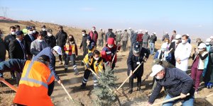 Elazığ'da sağlık çalışanları için 1500 fidanlık hatıra ormanı