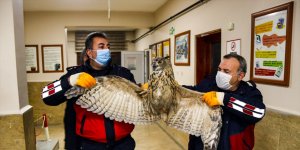 Soğuk havada bitkin düşüp apartman boşluğunda mahsur kalan puhuyu itfaiye kurtardı