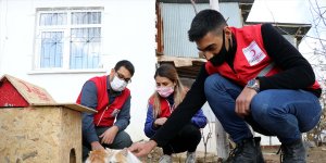 Türk Kızılay gönüllülerinden sokak hayvanlarına sıcak yuva ve mama