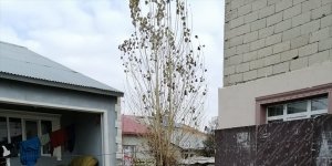 Ağrı'da hayvan hırsızlığı iddiasıyla gözaltına alınan 2 şüpheli serbest bırakıldı