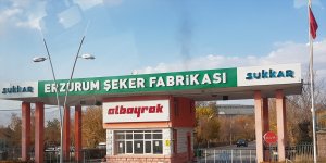 Sukkar Şeker, üretimde geçen yılları katladı
