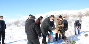 Erzincan'daki avcılar yaban hayvanlarına yem bıraktı
