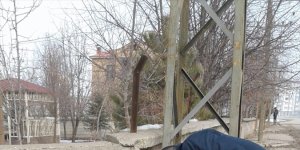 Güroymak'ta park ve bahçelere sokak hayvanları için mama ve su bırakıldı