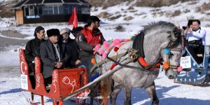 Türkiye Kent Konseyleri Birliği üyeleri Çıldır Gölü'nde atlı kızak keyfi yaşadı