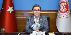 Bakan Pekcan, Avrupa Komisyonu’nun Komşuluk ve Genişlemeden Sorumlu Komiseri Olivér Várhelyi ile görüştü