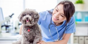 Royal Canin Türkiye, geleceğin kadın veteriner hekimlerini STEM yetkinlikleri ile destekliyor