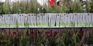 Elazığ'da 5 bin ceviz ve badem fidanı dağıtıldı