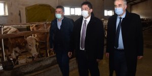 Erzurum'da yürütülen 'Süte Değer' projesi meyve vermeye başladı