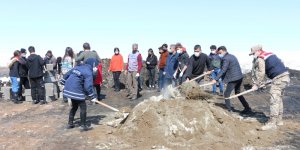 Erciş'te sokak hayvanları sıcak yuvalarına kavuştu