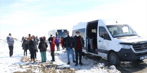 Van'da gönüllüler, jandarmanın desteğiyle sokak hayvanları için 20 kulübe yaptı