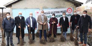 Kovancılar'da 5 bin 500 meyve fidanı dağıtıldı