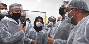 Tarım ve Orman Bakanı Pakdemirli'den sütte sınıflandırmayla ilgili değerlendirme: